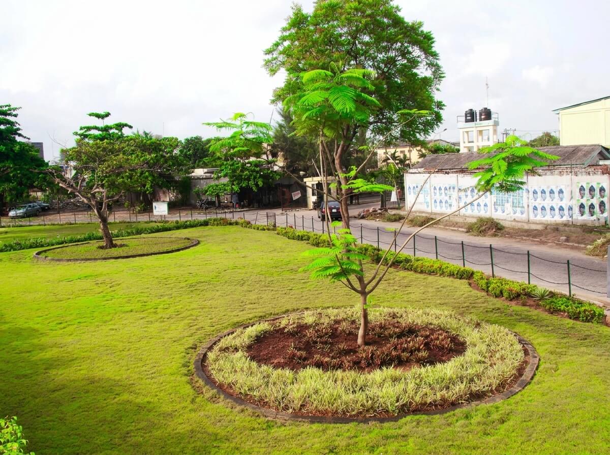 Dolphin Estate