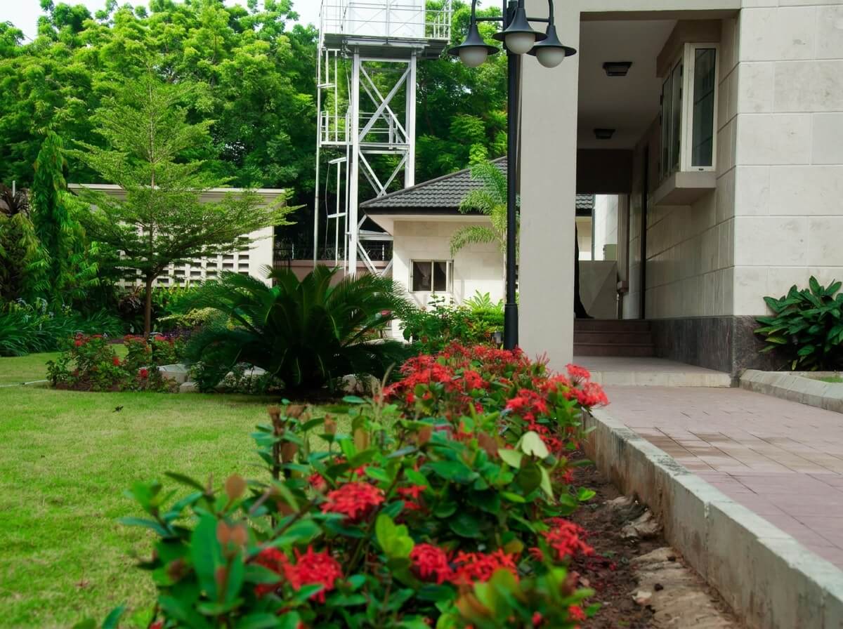 Cooper, Ikoyi